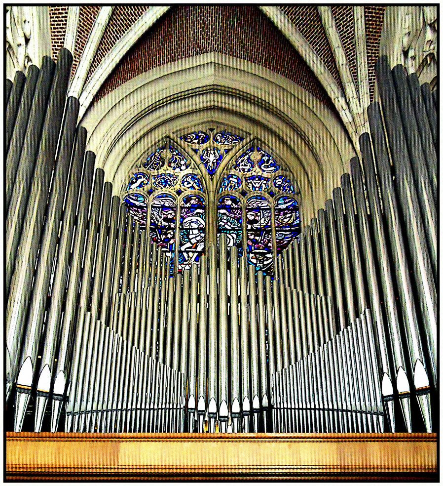 Odoo CMS - een grote afbeelding