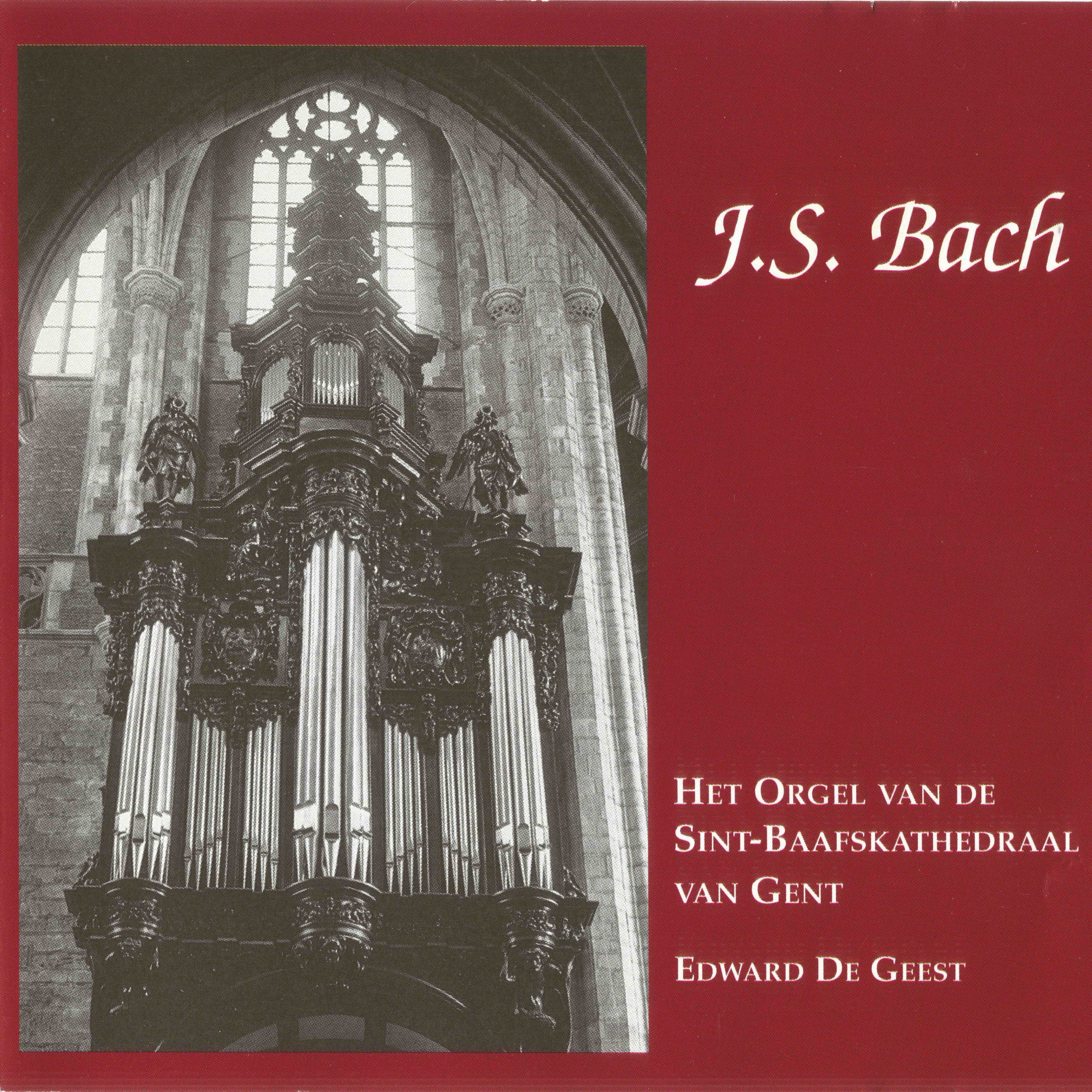 Odoo - Voorbeeld 1 voor drie kolommen