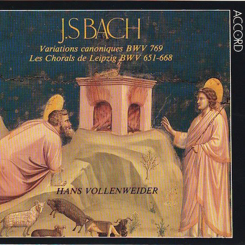 Odoo - Voorbeeld 3 voor drie kolommen