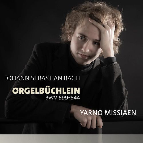 Odoo - Voorbeeld 3 voor drie kolommen