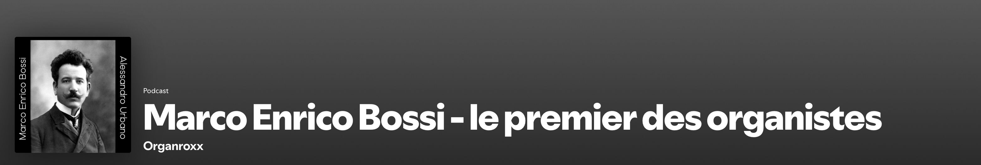 Odoo CMS - een grote afbeelding